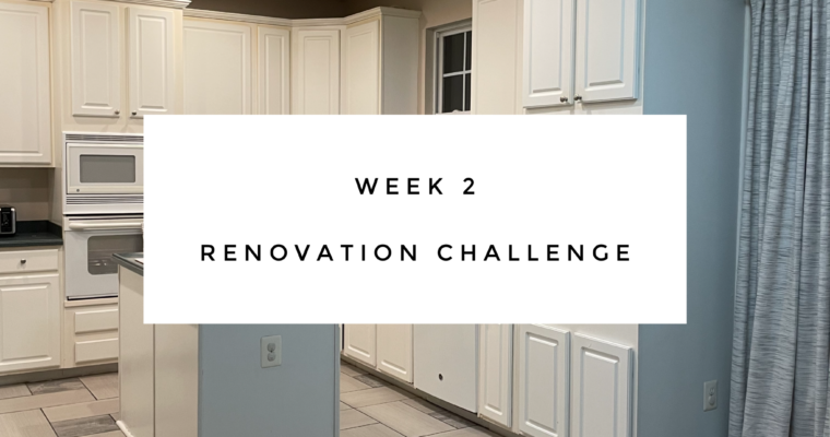 Renovation Challenge Week 2